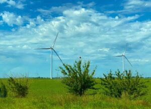 Wind turbines in a green field representing environmental management under ISO 14001:2026